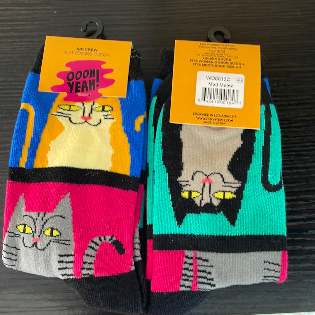 Socks cat
